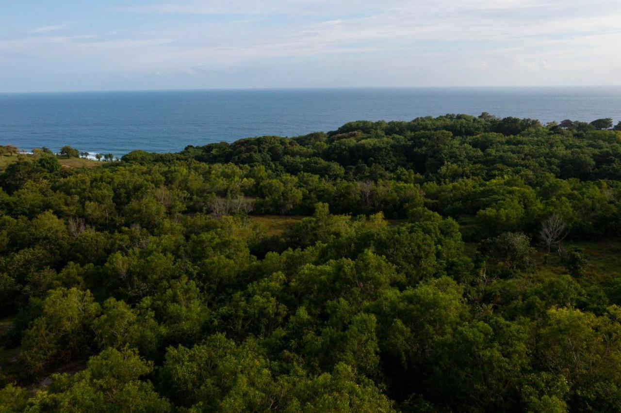 Moritz Palm Villa Ungasan Dış mekan fotoğraf